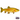 Albino Rainbow Trout Juveniles - FREE SHIPPING