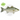 Pond-Ready Hybrid Striped Bass - FREE SHIPPING