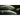 Albino Rainbow Trout 2-4” Juveniles - FREE SHIPPING