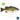 Largemouth Bass Juveniles - FREE SHIPPING